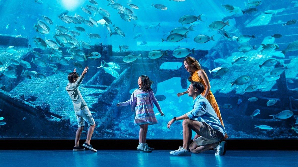 SEA Aquarium, tempat wisata hits di Singapura.