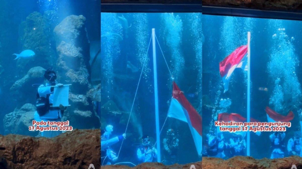 Sea World Ancol akan kibarkan bendera merah putih saat 17 Agustus 2023. Rincian lengkap jadwal pengibaran bendera merah putih di dalam air Sea World Ancol dan berbagai lomba serta drama musikal pada 17-20 Agustus 2023.