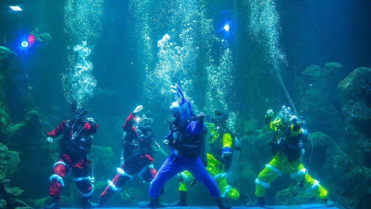 Sea World Ancol masih menggelar atraksi barongsai di dalam air hingga akhir Januari 2023 dengan cerita menarik dan seru untuk disaksikan.