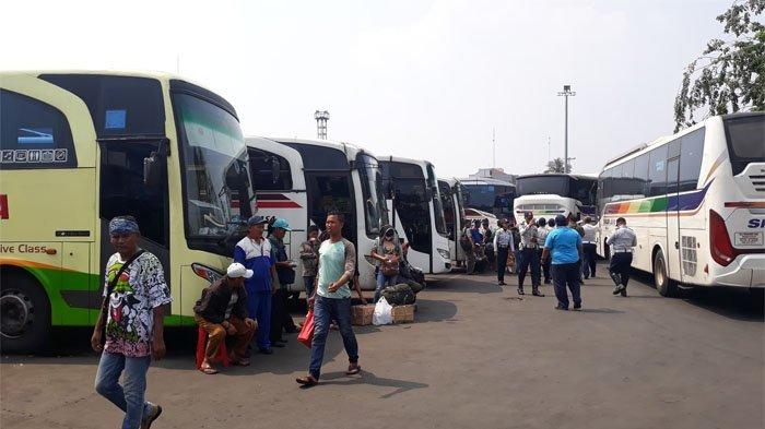 Sejumlah bus terparkir di Terminal Bus Tanjung Priok Jakarta Utara