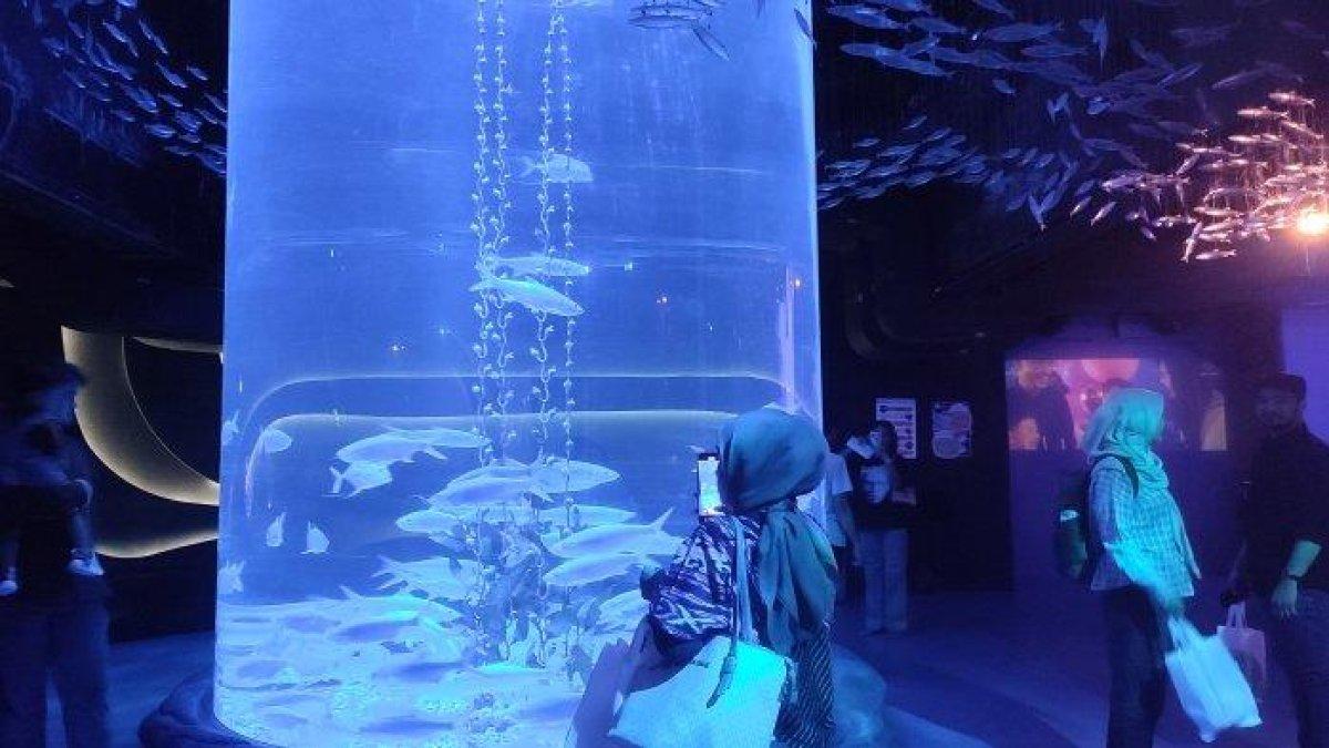 Sejumlah pengunjung menikmati suasana tempat wisata Jakarta Aquarium Safari di Jalan Letjen S Parman Grogol Petamburan, Jakarta Barat, Rabu (9/8/2023).