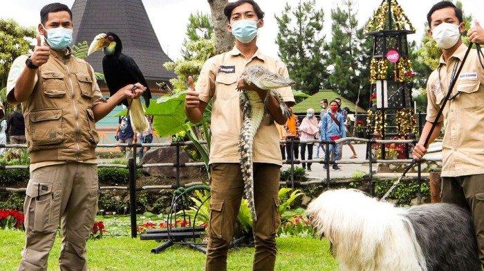 Sejumlah satwa di Lembang Park & Zoo