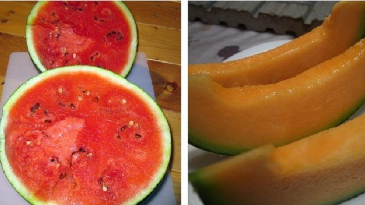Ilustrasi Semangka dan Melon. Seorang petani China mengklaim telah berhasil menciptakan buah hybrid. Penggagasnya ialah petani semangka berusia 40 tahun dari Fuyang, China yang disebut sebagai Tuan A oleh media lokal.