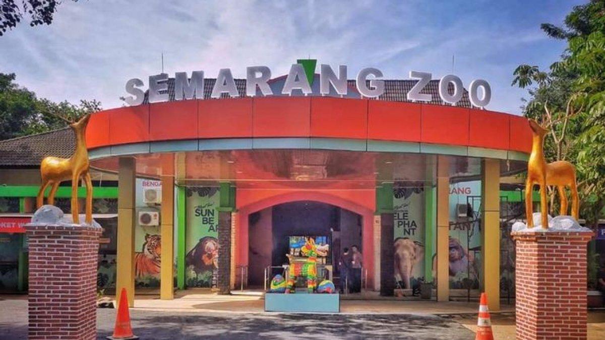 Semarang Zoo, satu tempat wisata ramah anak di Semarang, Jawa Tengah
