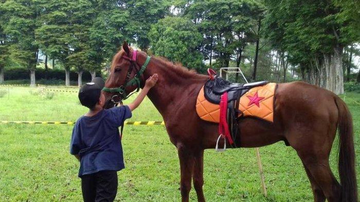 Seorang anak belajar menunggangi kuda di Sekolah Berkuda Wisata Selorejo, Kabupaten Malang, Sabtu (21/11/2020).
