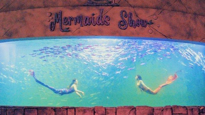 Show Mermaid di akuarium besar Ocean Dream Samudra Ancol, Kecamatan Pademangan, Jakarta Utara, DKI Jakarta.