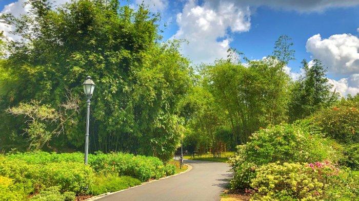 Singapore Botanic Gardens, tempat wisata di Orchard Road Singapura buat dikunjungi tahun 2024.