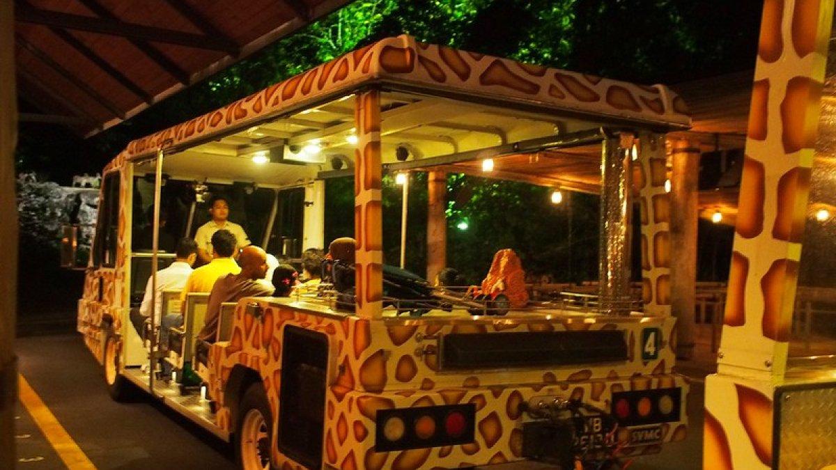 Singapore Night Safari, satu tempat wisata hits di Singapura.