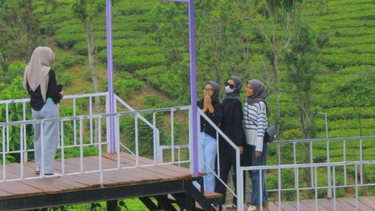 Harga tiket masuk Smart Hill Camp, pilihan tempat wisata baru di Subang yang lagi hits.