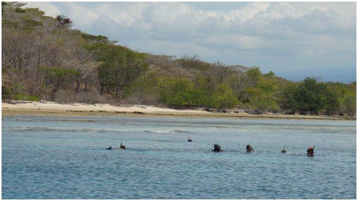 Snorkeling dan Diving di Pulau Menjangan Taman Nasional Bali Barat
