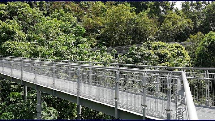 Southern Ridges, satu tempat wisata terbaik di Singapura yang menarik buat dijelajahi.