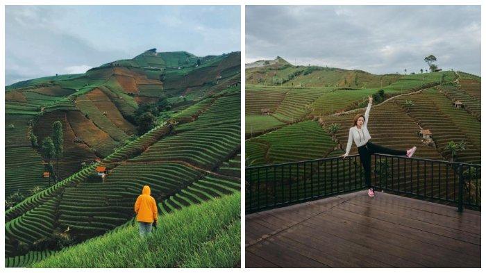 Spot foto favorit wisatawan di Terasering Panyaweuyan.