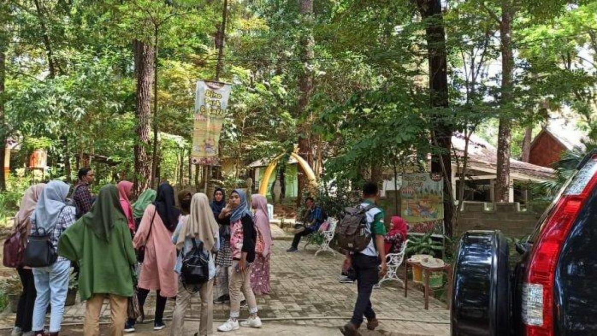 Suasana di Taman Wisata Alam (TWA) Punti Kayu Palembang
