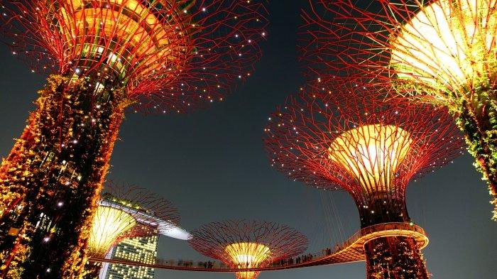 Supertree Grove, Gardens by The Bay, satu tempat wisata gratis di Singapura yang bisa kamu kunjungi saat malam hari.