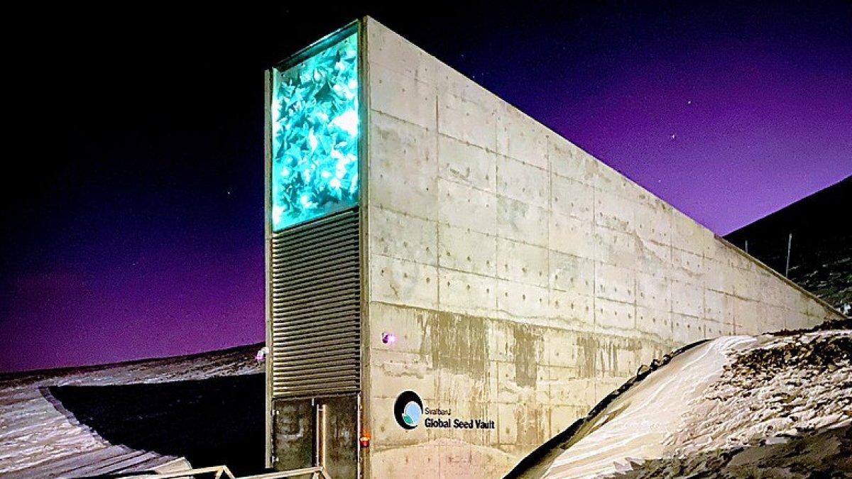 Svalbard Global Seed Vault, satu tempat viral yang cuma bisa dikunjungi lewat Google.