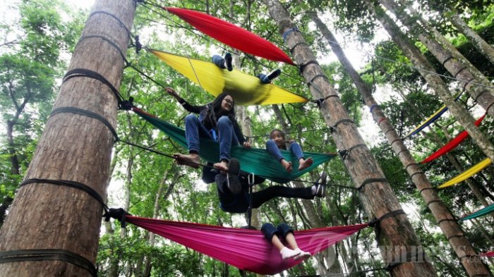 Sejumlah pengunjung bergantung di hammock sambil duduk dan tiduran yang terpasang di antara pohon di Taman Hutan Raya (Tahura) Ir H Djuanda, Dago Pakar, Kota Bandung, Minggu (4/11/2016). Untuk menikmati ayunan yang terbuat dari kain itu, pihak penyedia Pakar Outbound menyewakan untuk pengunjung seharga Rp 20.000 per satu unit hammock.