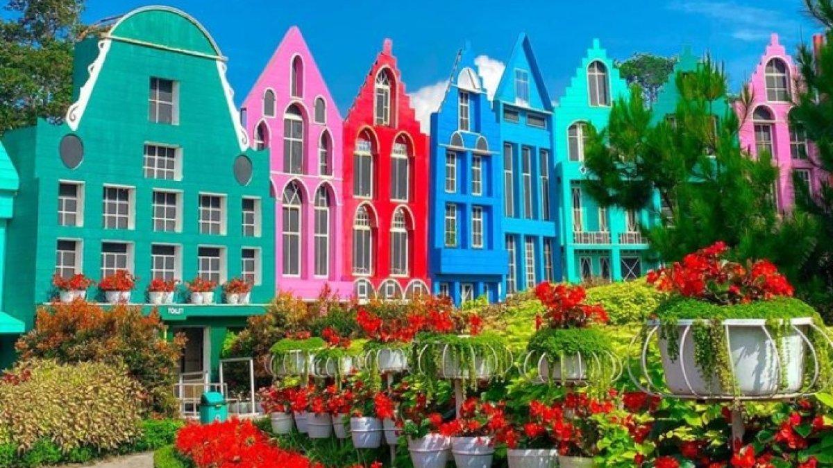 Taman Bunga Celosia.