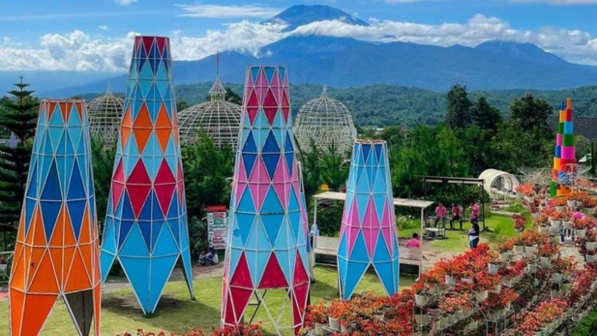 Taman Bunga Celosia.