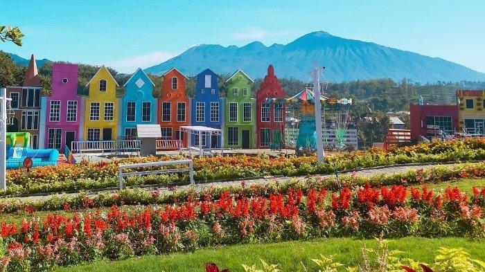 Taman Bunga di Flora Wisata San Terra, Pujon Malang