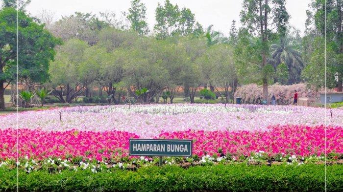 Taman Bunga Nusantara, Wisata di Cianjur