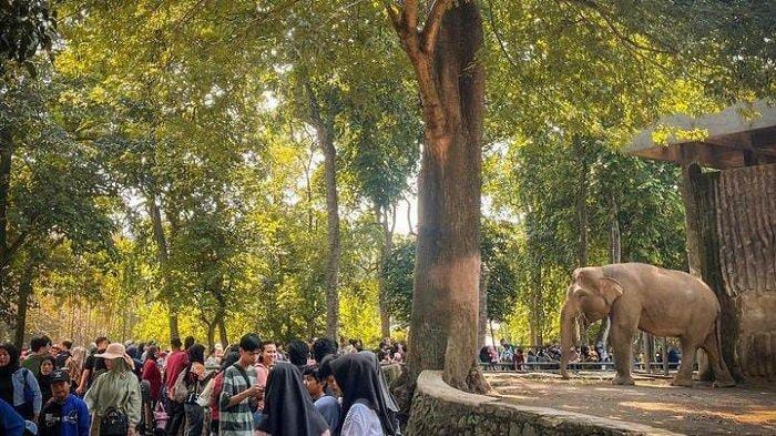 Taman Margasatwa Ragunan, tempat wisata keluarga di daerah Jakarta Selatan