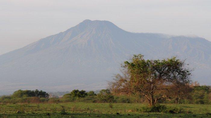 Taman Nasional Baluran, Situbondo, Jawa Timur