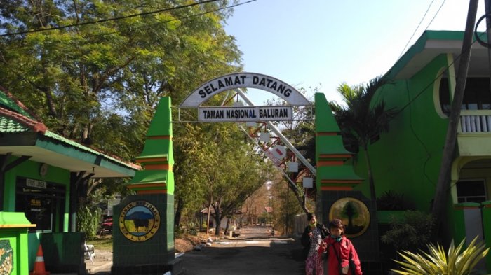 Wisatawan mengunjungi Taman Nasional Baluran berada di Kabupaten Situbondo, Jawa Timur. Namun, TN Baluran lebih mudah diakses dari Banyuwangi sebab lokasinya berada di antara perbatasan Banyuwangi-Situbondo.