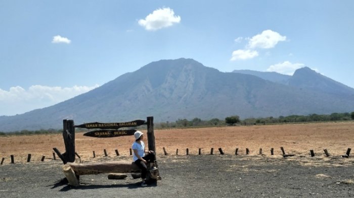 Wisatawan menikmati keindahan Taman Nasional Baluran, Jawa Timur dengan latar belakang Gunung Baluran