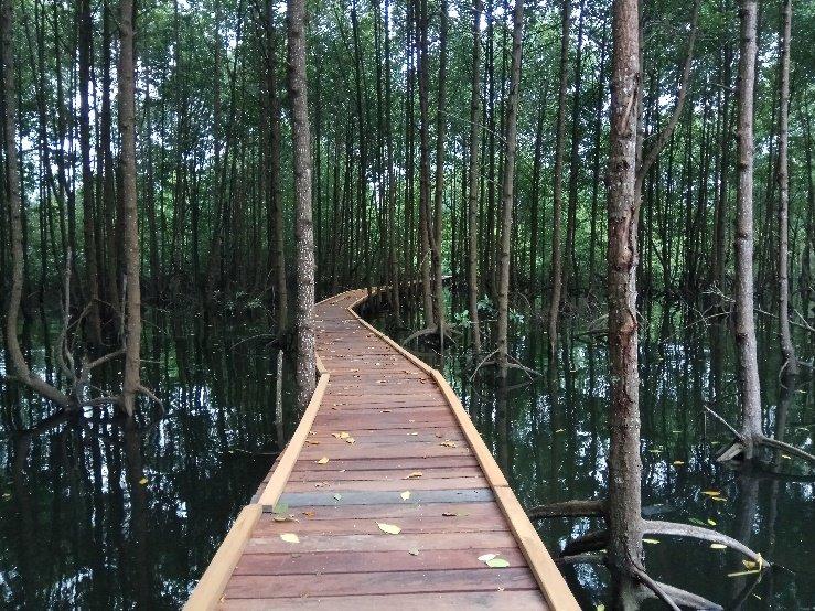 taman nasional kutai bontang
