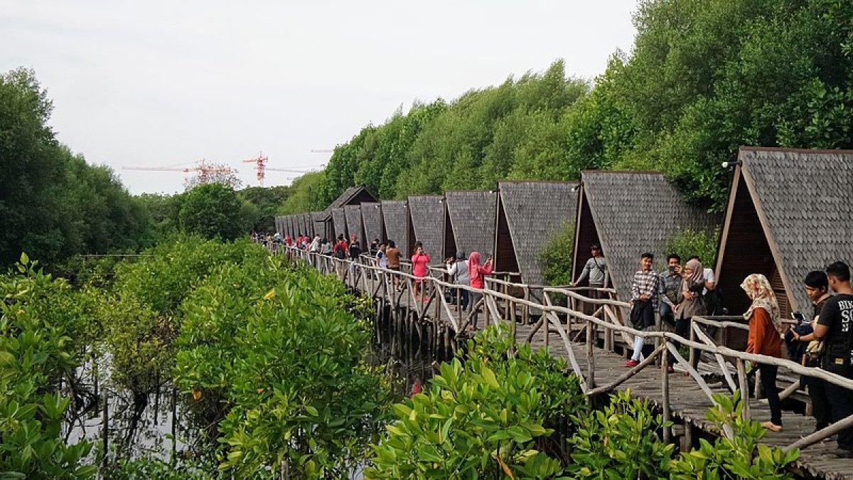 Taman Wisata Alam Mangrove, tempat wisata hits di Jakarta Utara