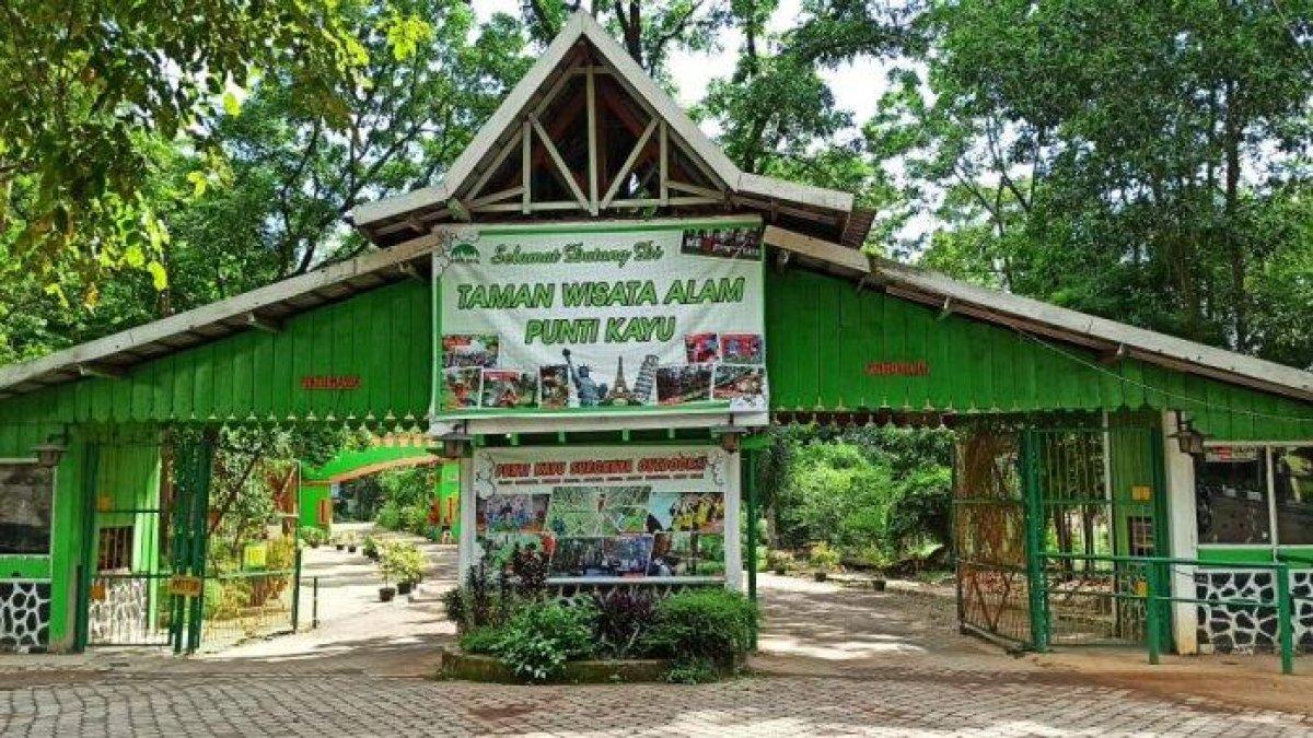 Taman Wisata Alam (TWA) Punti Kayu, satu tempat wisata hits di Palembang