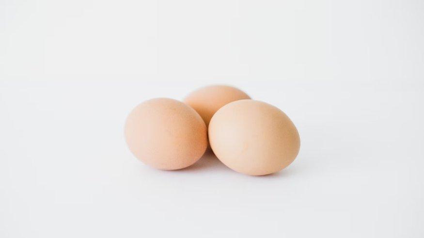 Ilustrasi telur.