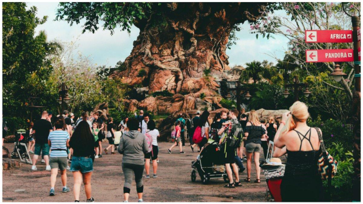 Pengunjung di Disney World. Sepasang suami istri menjual rumah mereka untuk pindah ke Florida agar lebih dekat dengan Disney World.