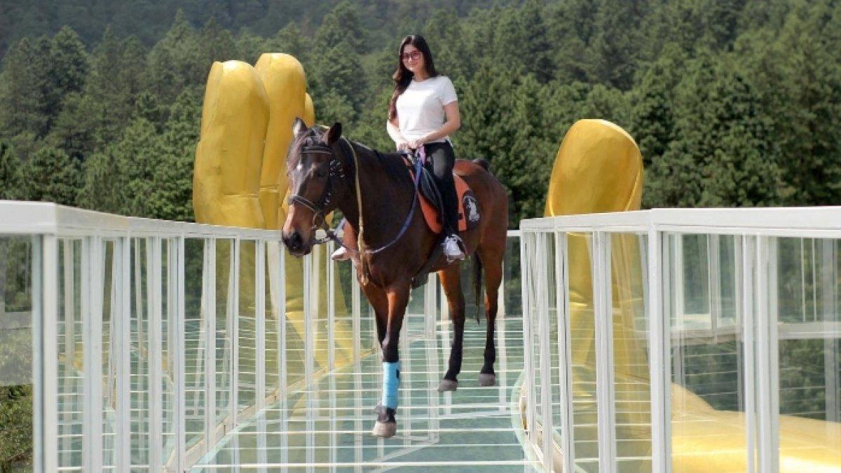 The Baron Hill, tempat wisata hits di Tegal.