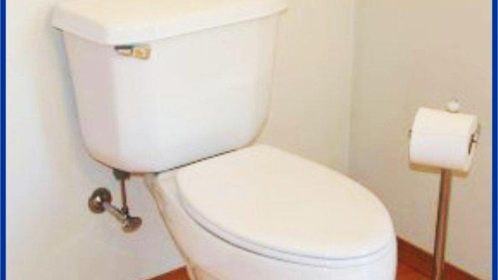 Ilustrasi toilet. Seorang wanita Moskow baru-baru ini mendapat kejutan dalam lantaran melihat seekor ular Boa putih besar muncul dari toiletnya.