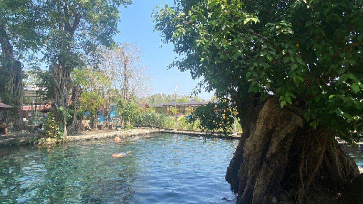 Wisatawan berenang di kolam jernih yang ada di Umbul Kemanten, Klaten, Jawa Tengah pada Selasa (5/9/2023).