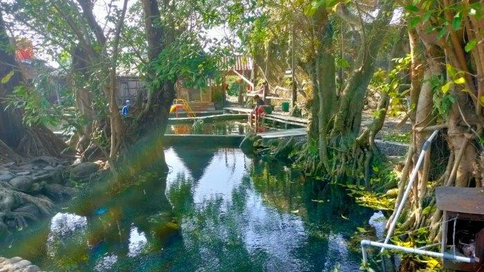 Kolam alami di Umbul Manten, Kabupaten Klaten, Jawa Tengah yang dikelilingi pepohonan rindang dan suasana sejuk, Senin (1/8/2022).