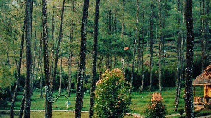 Seorang wisatawan sedang berjalan-jalan di kawasan Vanaprastha Gedong Songo Park.