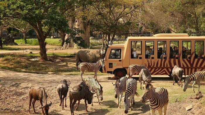 Safari Journey di Bali Safari & Marine Park.