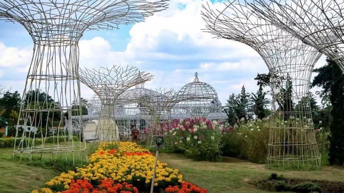 Taman Bunga Celosia, rekomendasi tempat wisata di Bandungan, Kabupaten Semarang, Jawa Tengah.