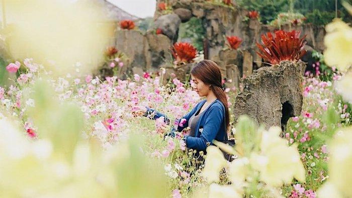 The Blooms Garden, tempat wisata populer di Tabanan, Bali yang cocok dikunjungi saat liburan akhir pekan.