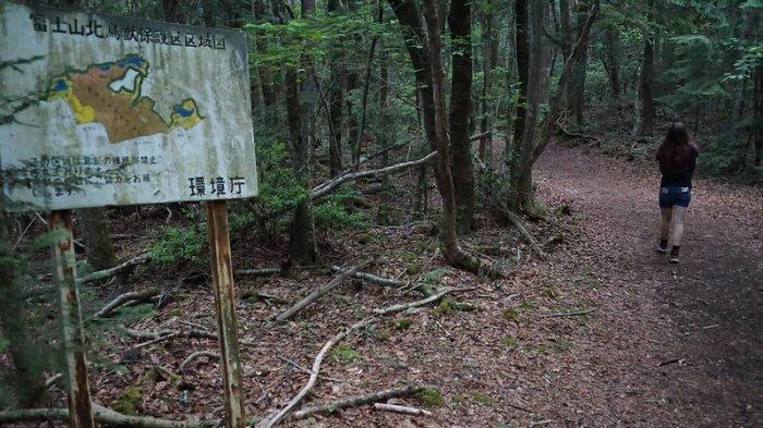 Wisatawan yang menjelajah Hutan Aokigahara