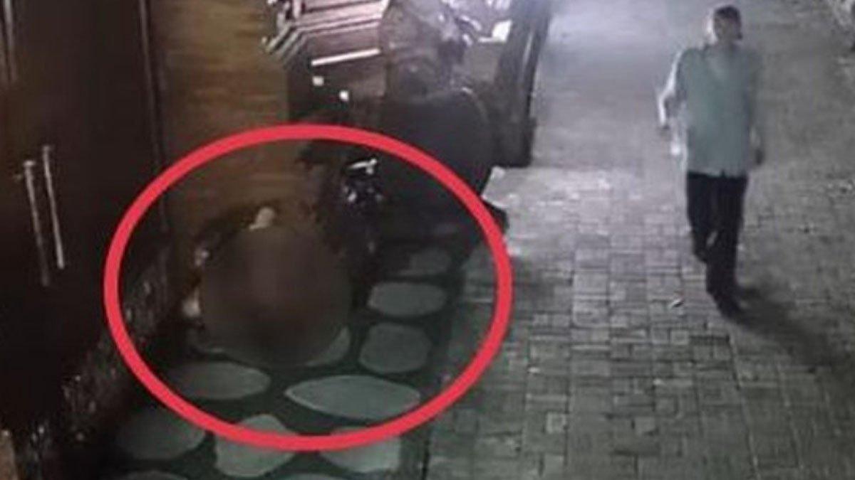 2 bule di Bali terekam CCTV buang air kecil di depan rumah pak lurah setempat.