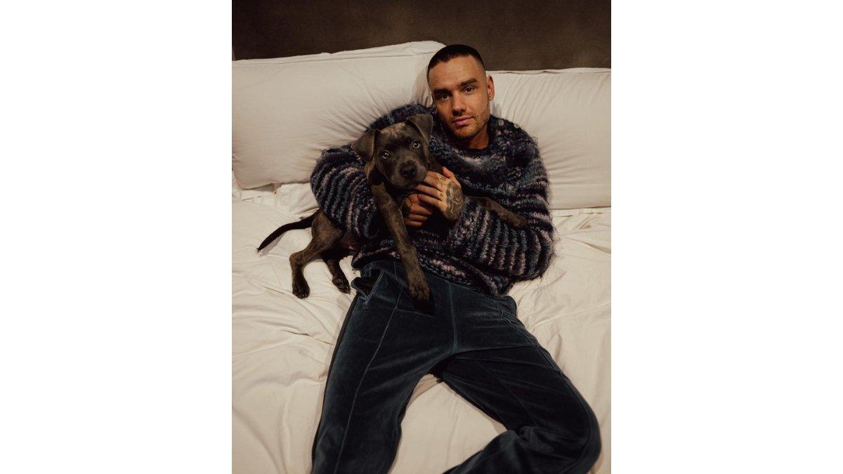 Liam Payne