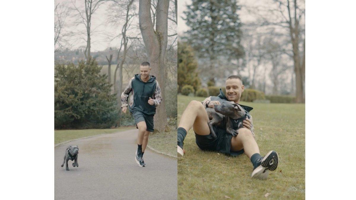 5 postingan sebelum Liam Payne terjatuh dari balkon hotel, Jogging bersama anjingnya