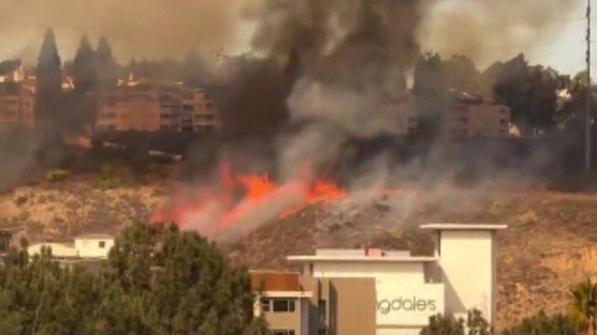 85 hektar wilayah San Diego, Amerika Serikat hangus dilahap si jago merah sejak Selasa, (21/1/2025), begini kondisinya.