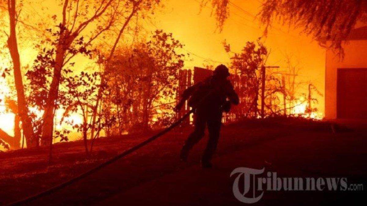 85 hektar wilayah San Diego, Amerika Serikat hangus dilahap si jago merah sejak Selasa, (21/1/2025), begini kondisinya.