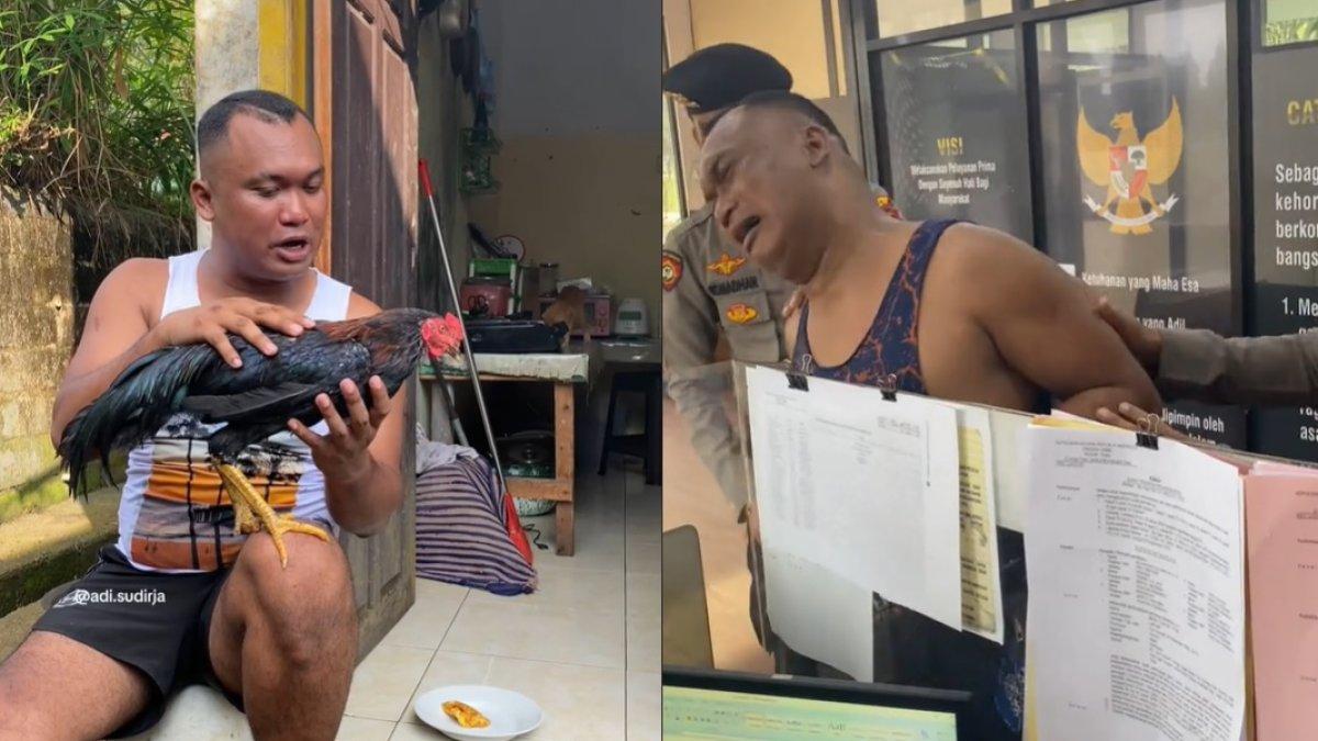 Adi Sudirja nangis-nangis ke polisi ayam jago kesayangan hilang
