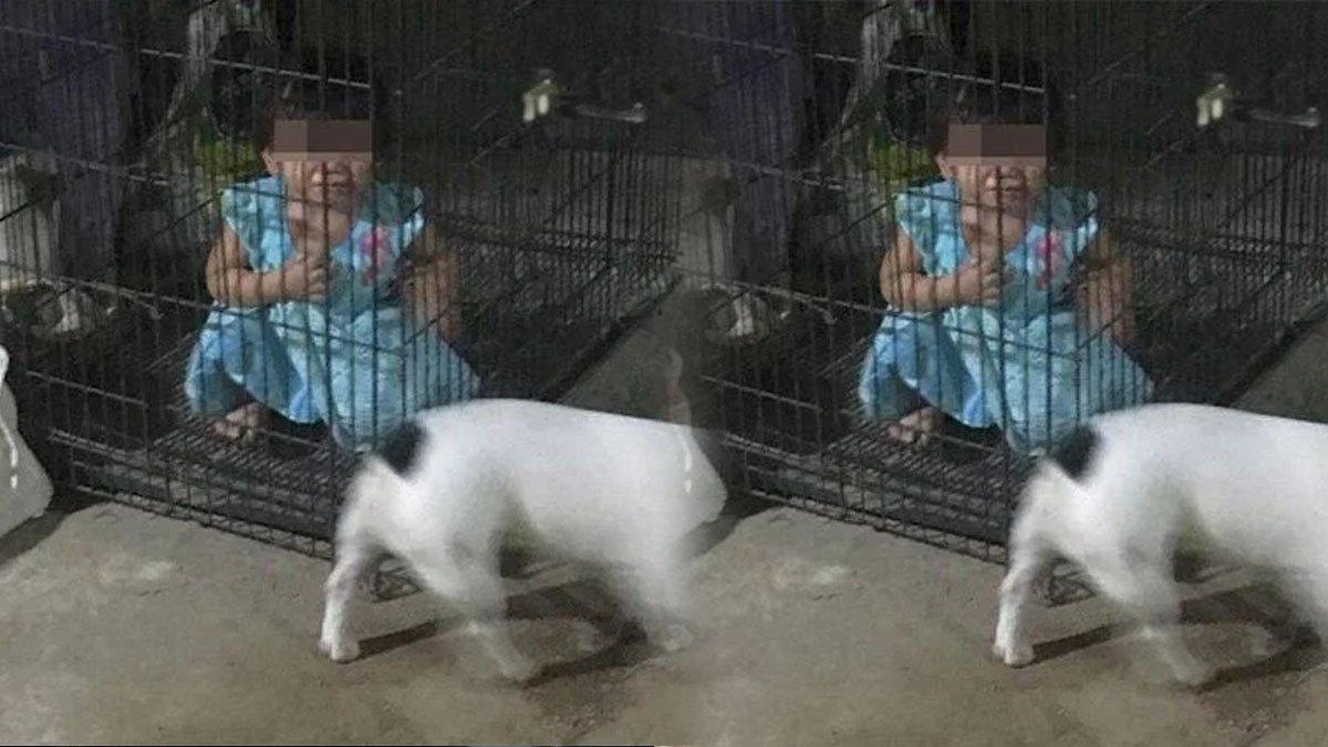 Aksi keji seorang ibu muda terhadap anak tirinya sendiri yang berusia dua tahun, ia dikurung di kandang anjing