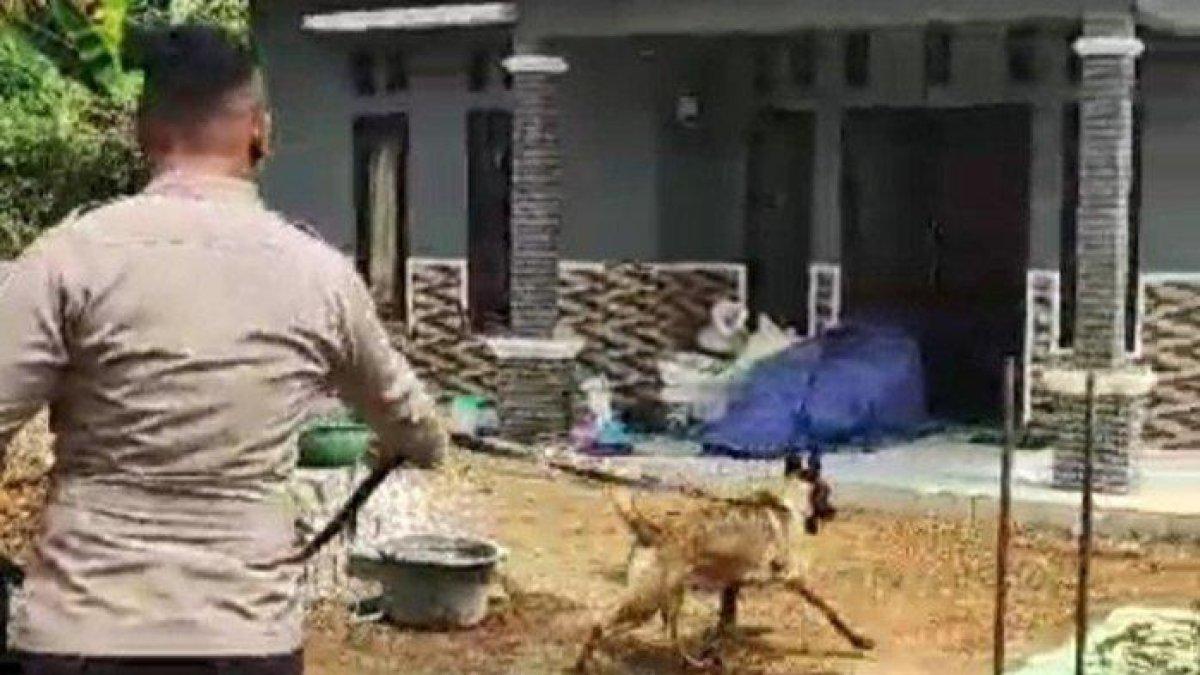 Anjing pelacak saat berlari ke rumah pelaku pencurian di KBB